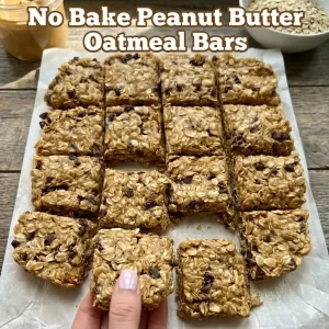 Hand holding a chewy No Bake Peanut Butter Oatmeal Bar loaded with chocolate chips, with the text title 'No Bake Peanut Butter Oatmeal Bars' displayed overhead.